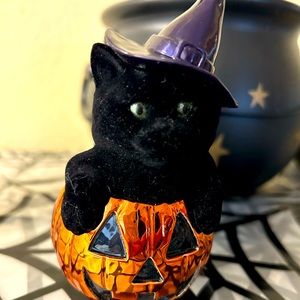BBW Black Cat in Pumpkin Wallflower